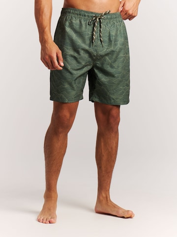 PROTEST Swimming shorts 'PRTAcorn' in Green