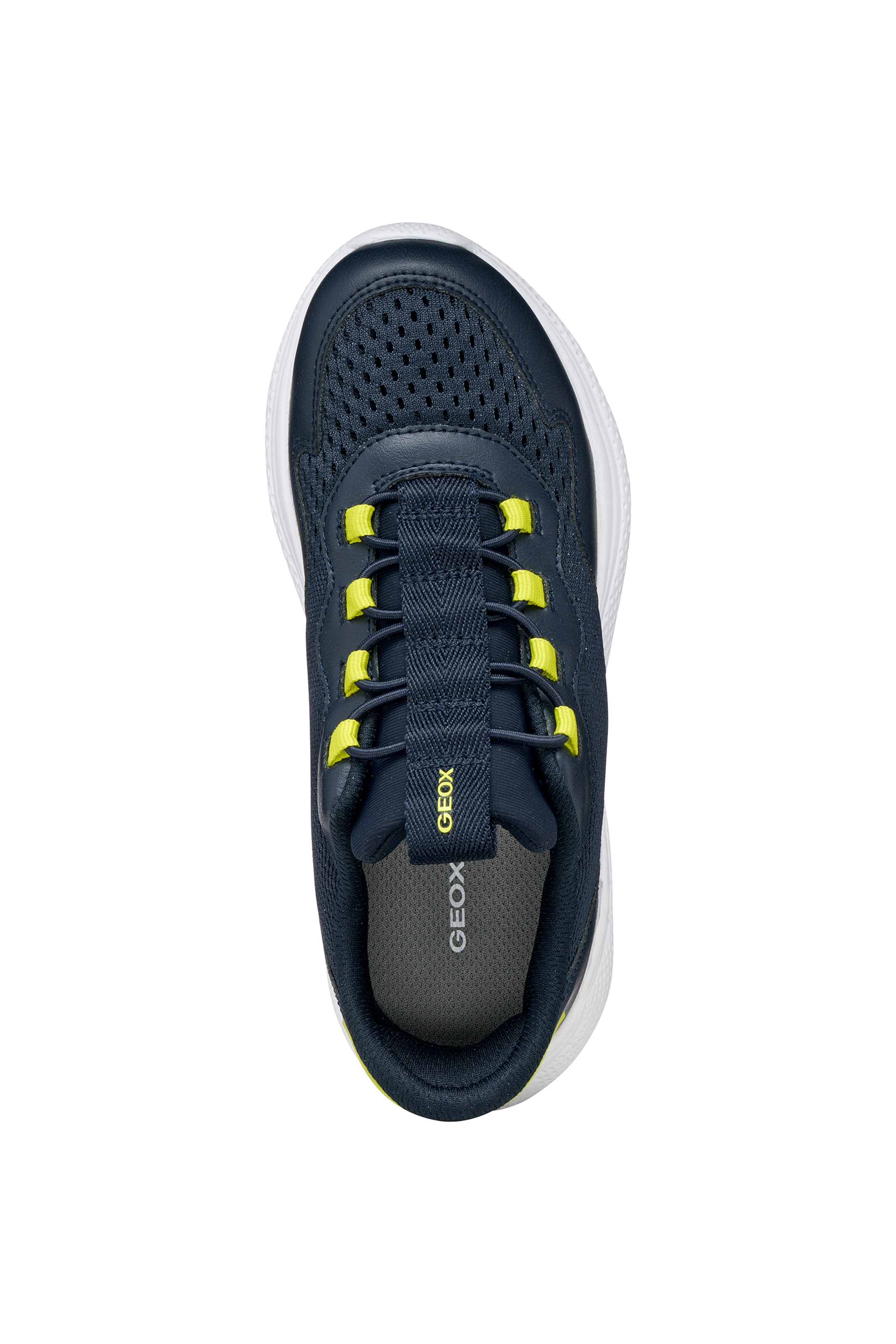 GEOX Sneakers in Blue