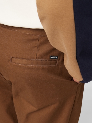 Brixton Regular Chino Pants 'CHOICE' in Brown