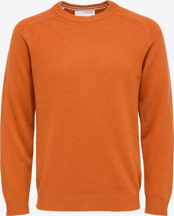SELECTED HOMME Pullover 'NEW'COBAN' in Orange: predná strana