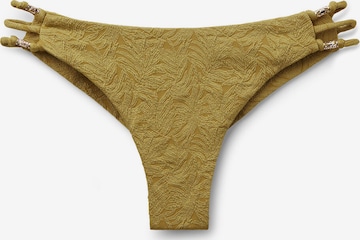CALZEDONIA Bikini Bottoms 'Wild Jungle' in Green: front