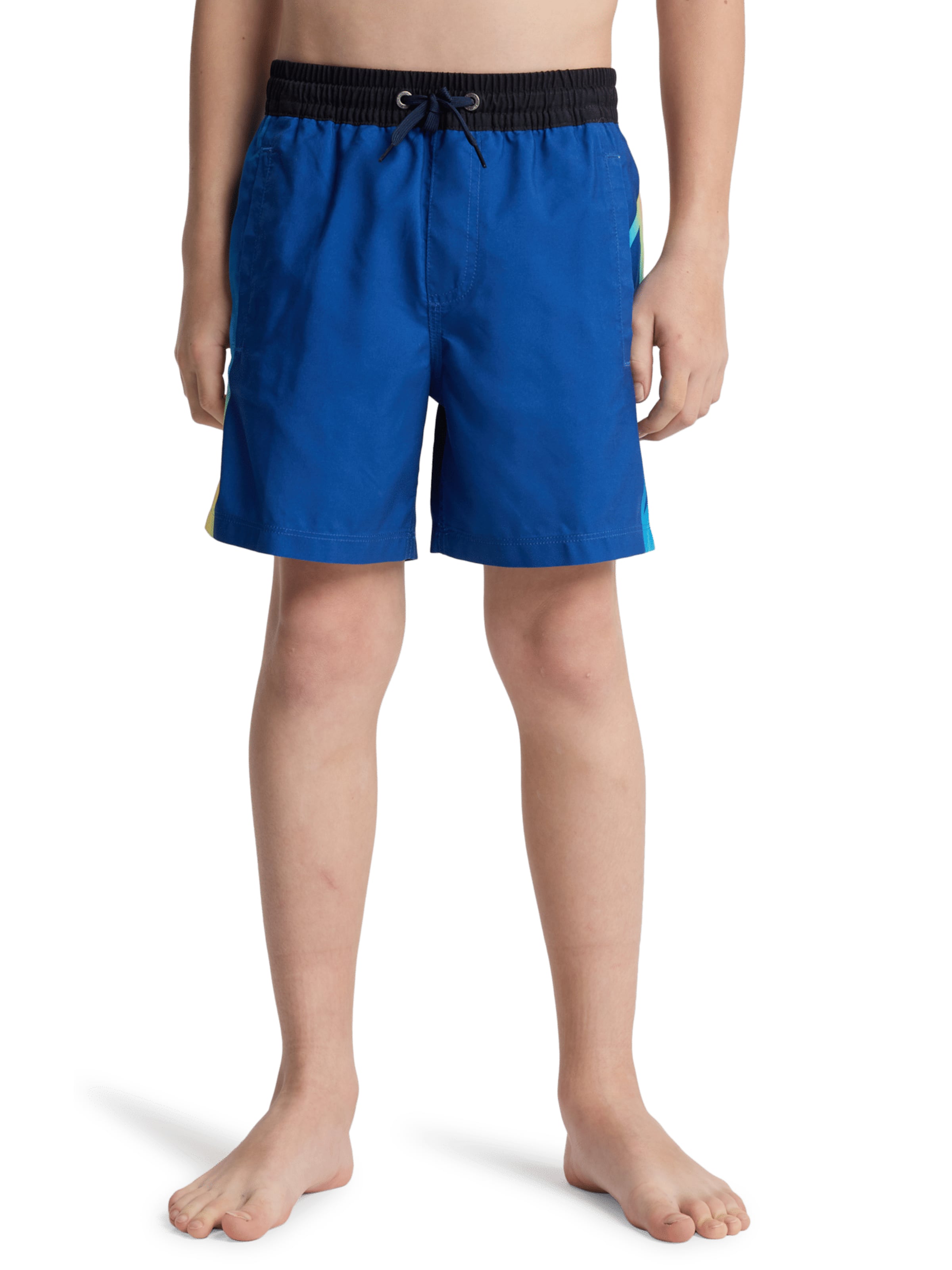 QUIKSILVER Board Shorts 'Everyday Holmes Volley' in Blue: front