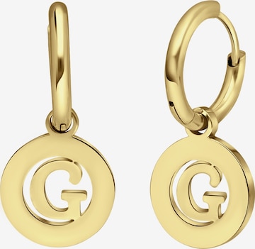 Lucardi Ohrringe in Gold: Vorderseite