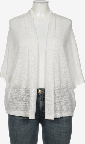 FRANK WALDER Sweater & Cardigan in 4XL in White: front