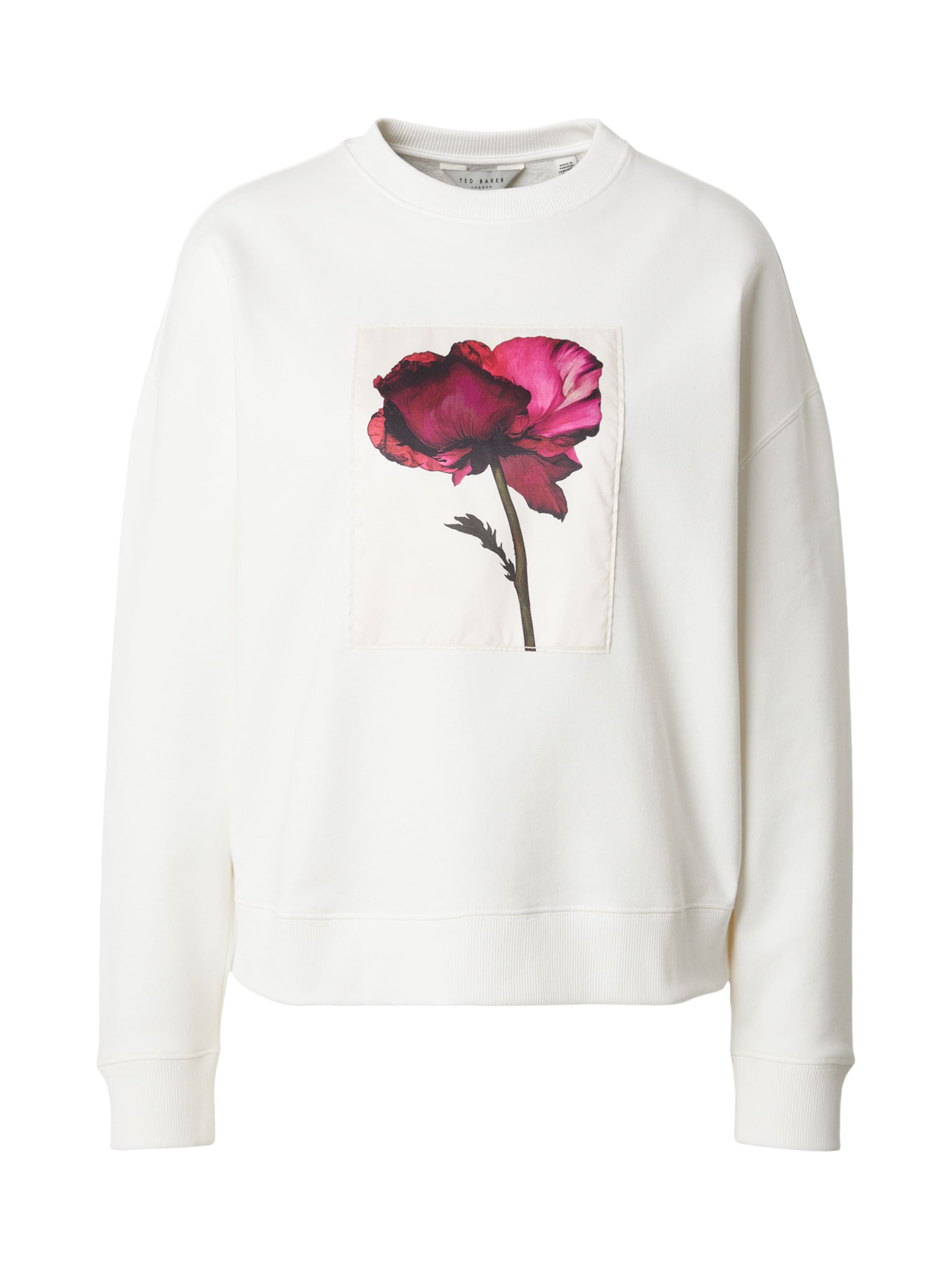 Felpa 'TONNIE' di Ted Baker in beige: frontale