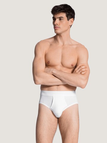 CALIDA Slip 'Cotton 1:1'‌‌‌‌‌‌‌‌‌ in Weiß