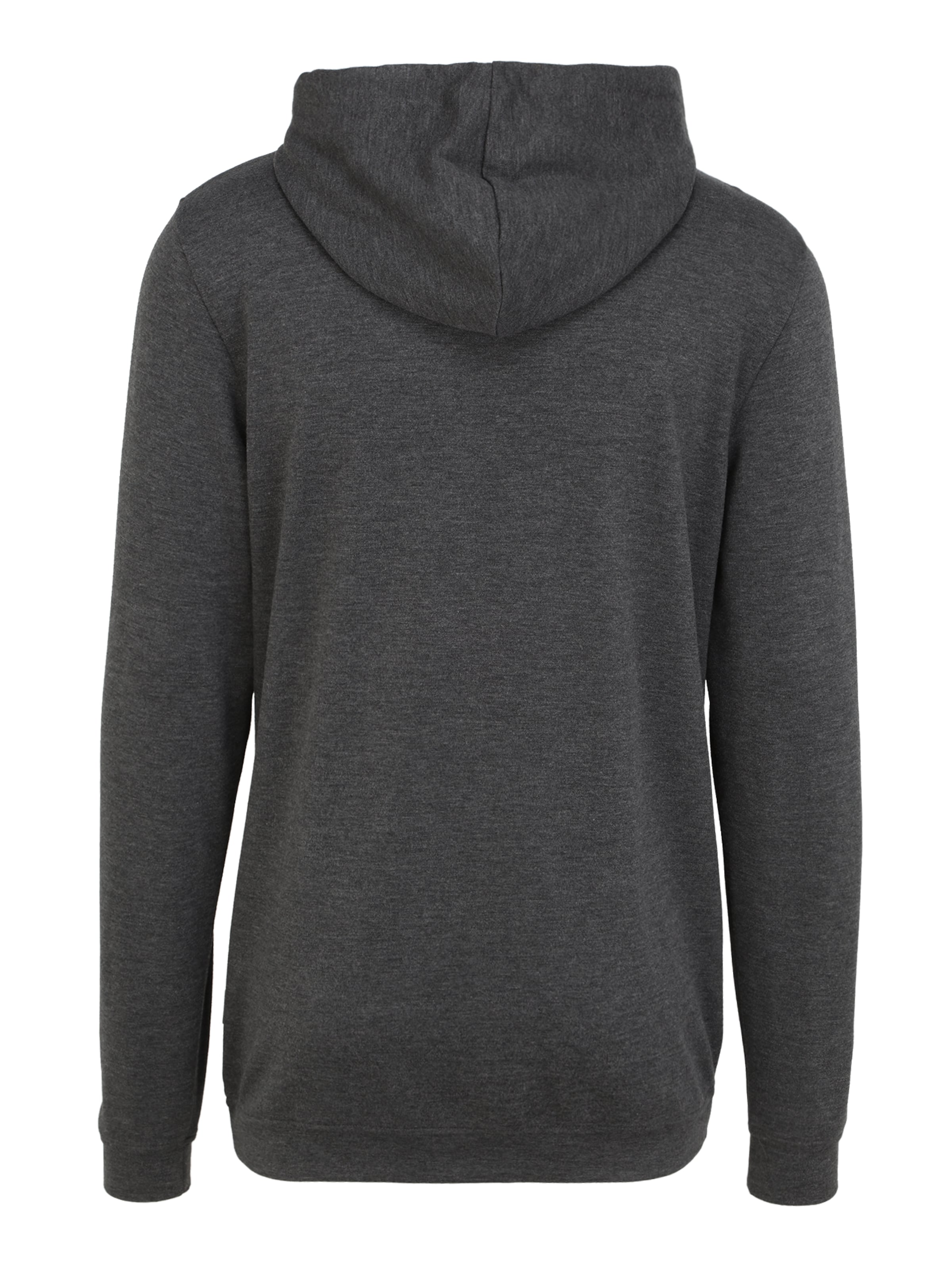 JBS OF DENMARK Μπλούζα φούτερ σε γκρι