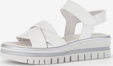 Sandalo di GABOR in bianco: frontale