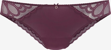 LASCANA Boyshorts in Purple: front