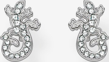 Thomas Sabo Earrings in Silver: front