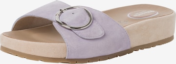 TAMARIS Mules in Purple: front