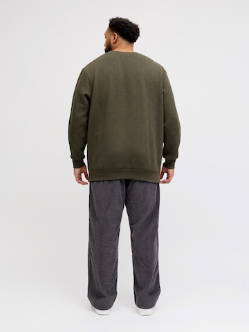 Jack & Jones Plus Sweatshirt 'JCOGEO' i grön