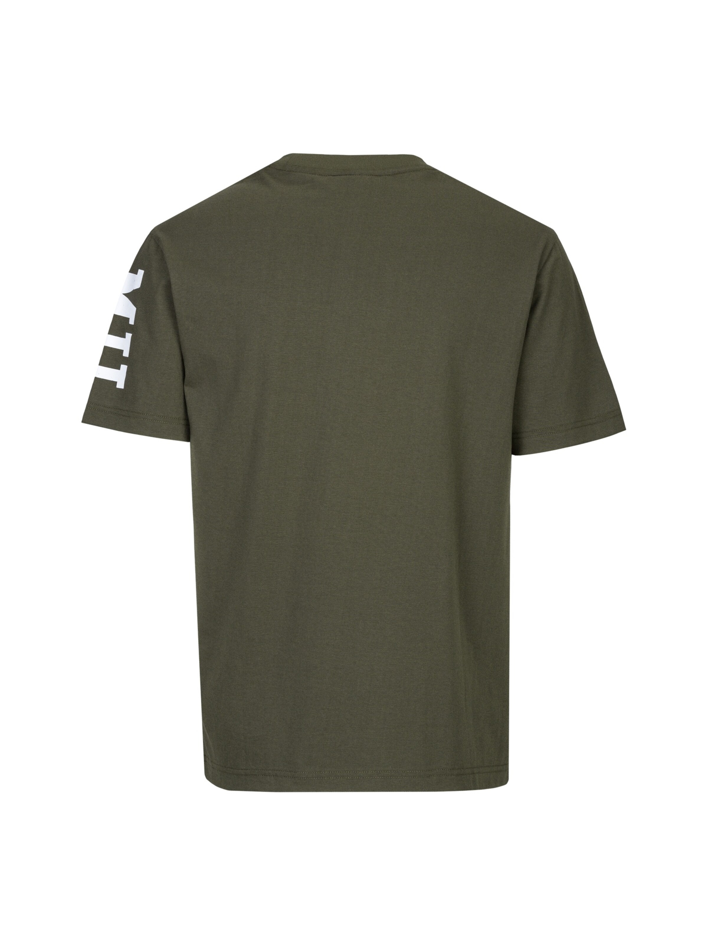 19V69 ITALIA Shirt 'Tamaro' in Groen