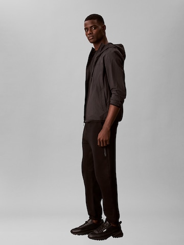 Calvin Klein Tapered Hose in Schwarz