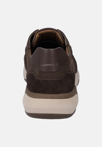 JOSEF SEIBEL Sneaker in Braun