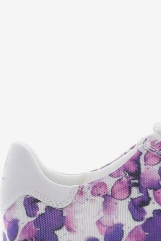 Guido Maria Kretschmer Jewellery Sneakers & Trainers in 37 in Purple