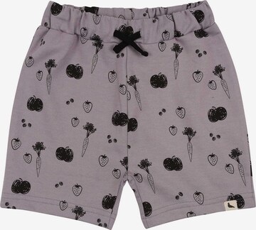 Turtledove London Regular Shorts ' ' in Grau: predná strana