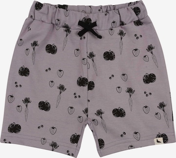 Turtledove London Regular Shorts in Grau: Vorderseite