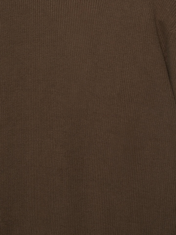 Pull&Bear Pulover | rjava barva