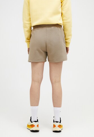 PEAK PERFORMANCE Regular Trousers in Brown