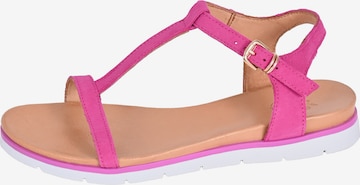 Apple of Eden Strap Sandals ' DANA ' in Pink