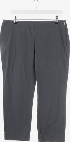 Maliparmi Pants in L in Grey: front