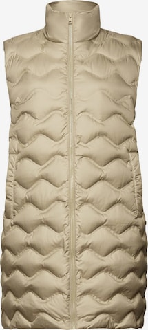 ESPRIT Bodywarmer in Beige: voorkant