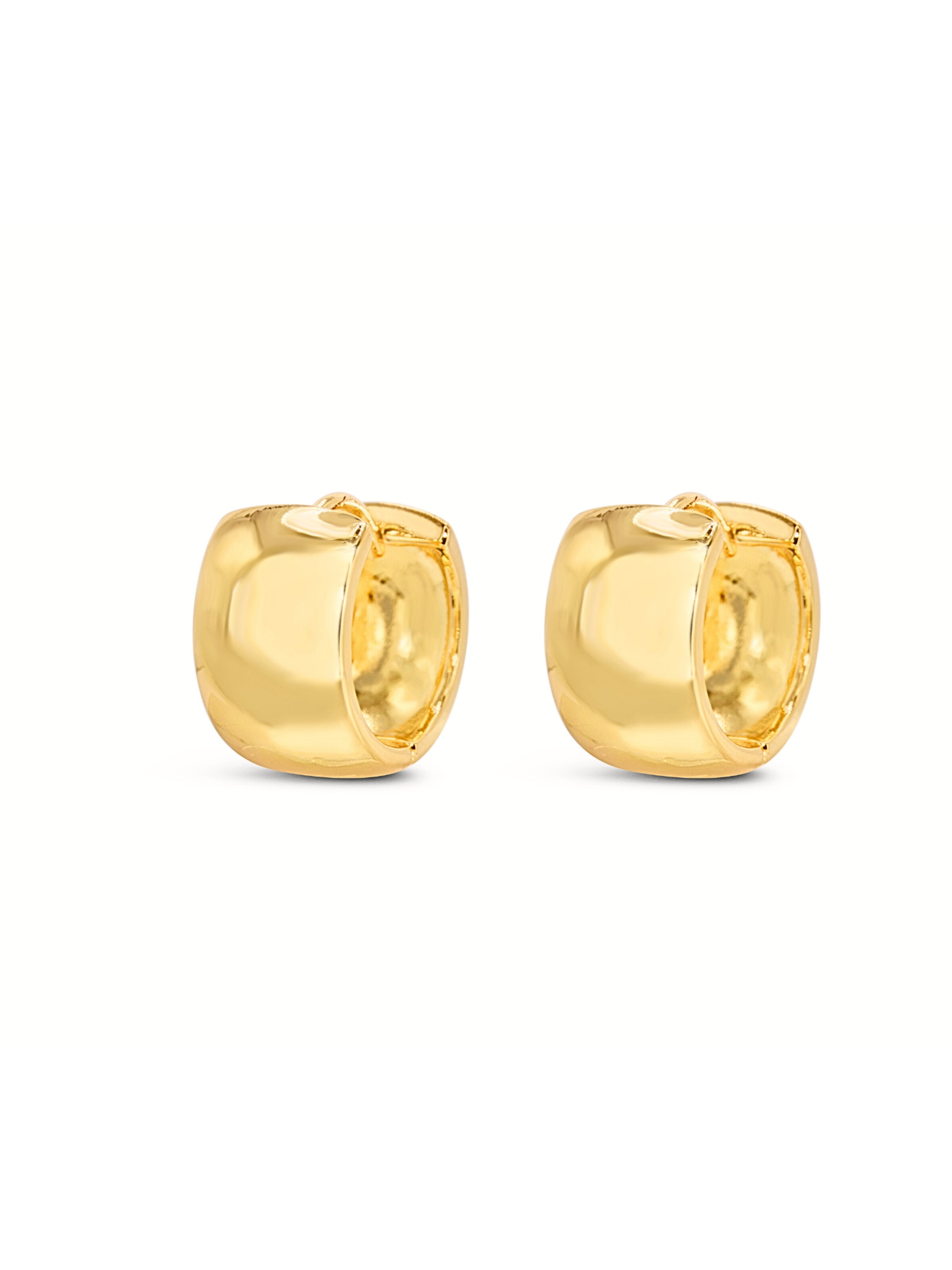 ARS-ARGENTI Earrings in Gold
