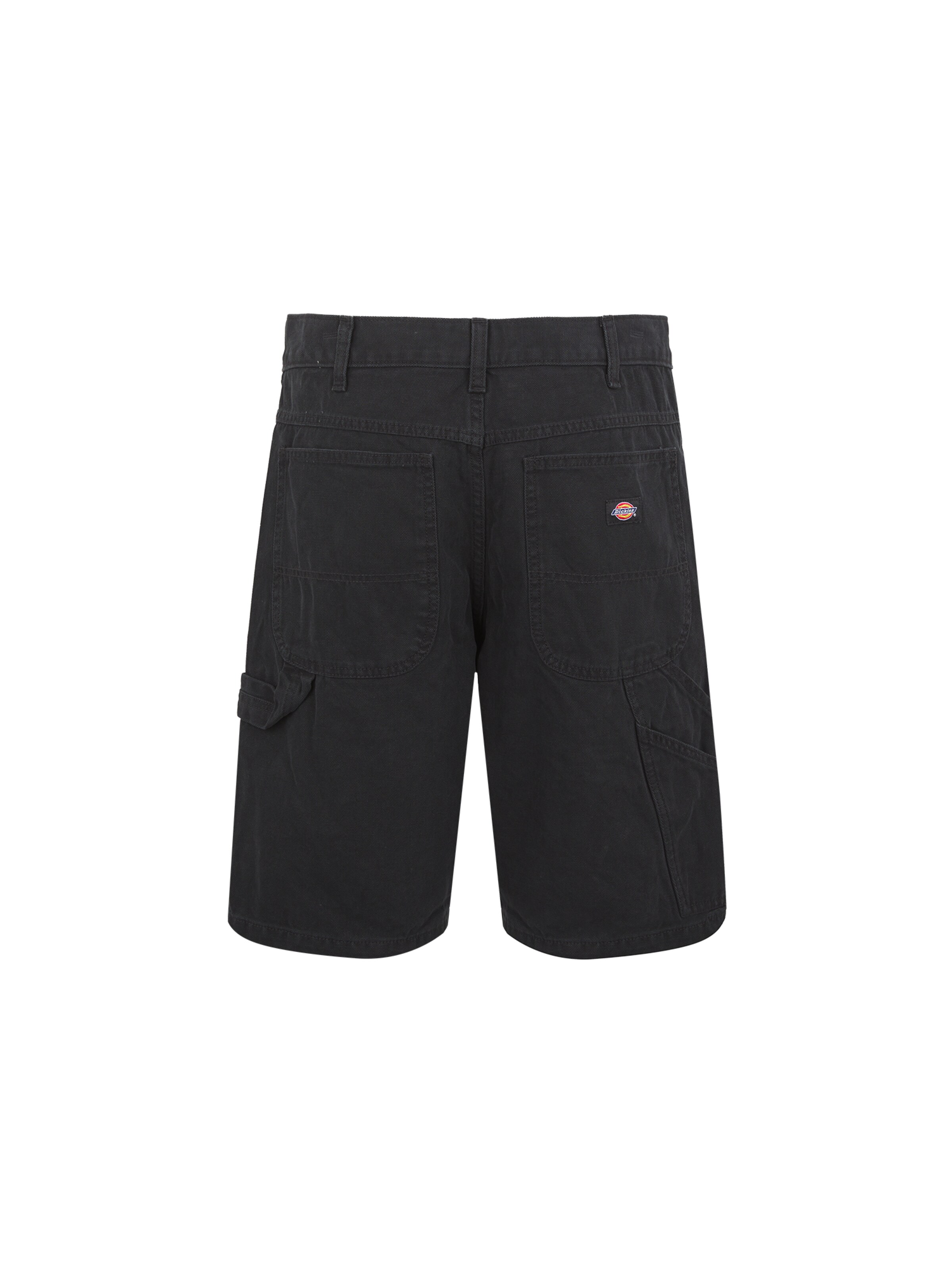 DICKIES Loosefit Kapsáče – černá