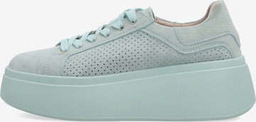 VENEZIA Sneaker low 'Venezia' in Blau: Vorderseite