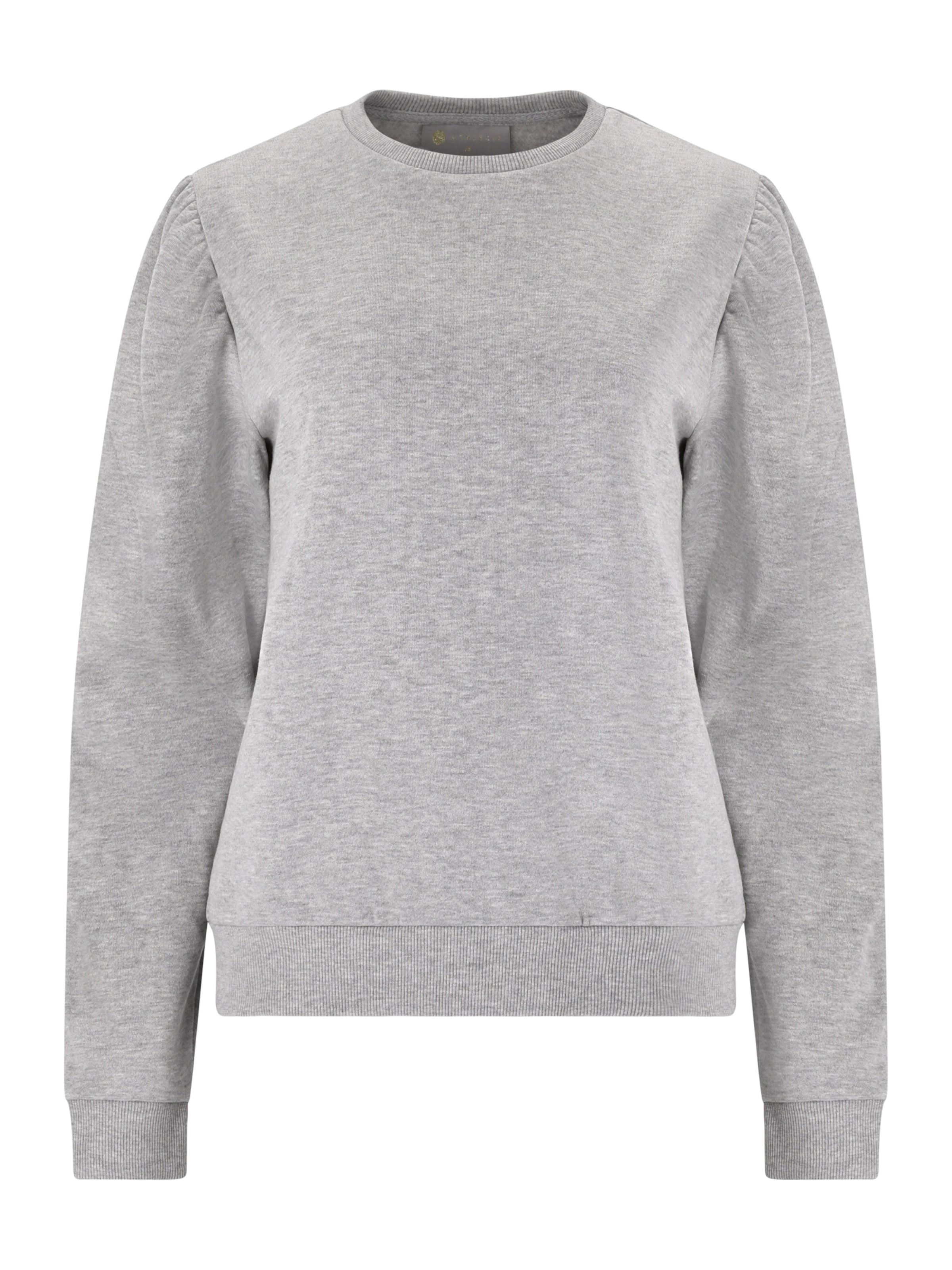 Athlecia Αθλητική μπλούζα φούτερ 'Moroo' σε γκρι: μπροστά