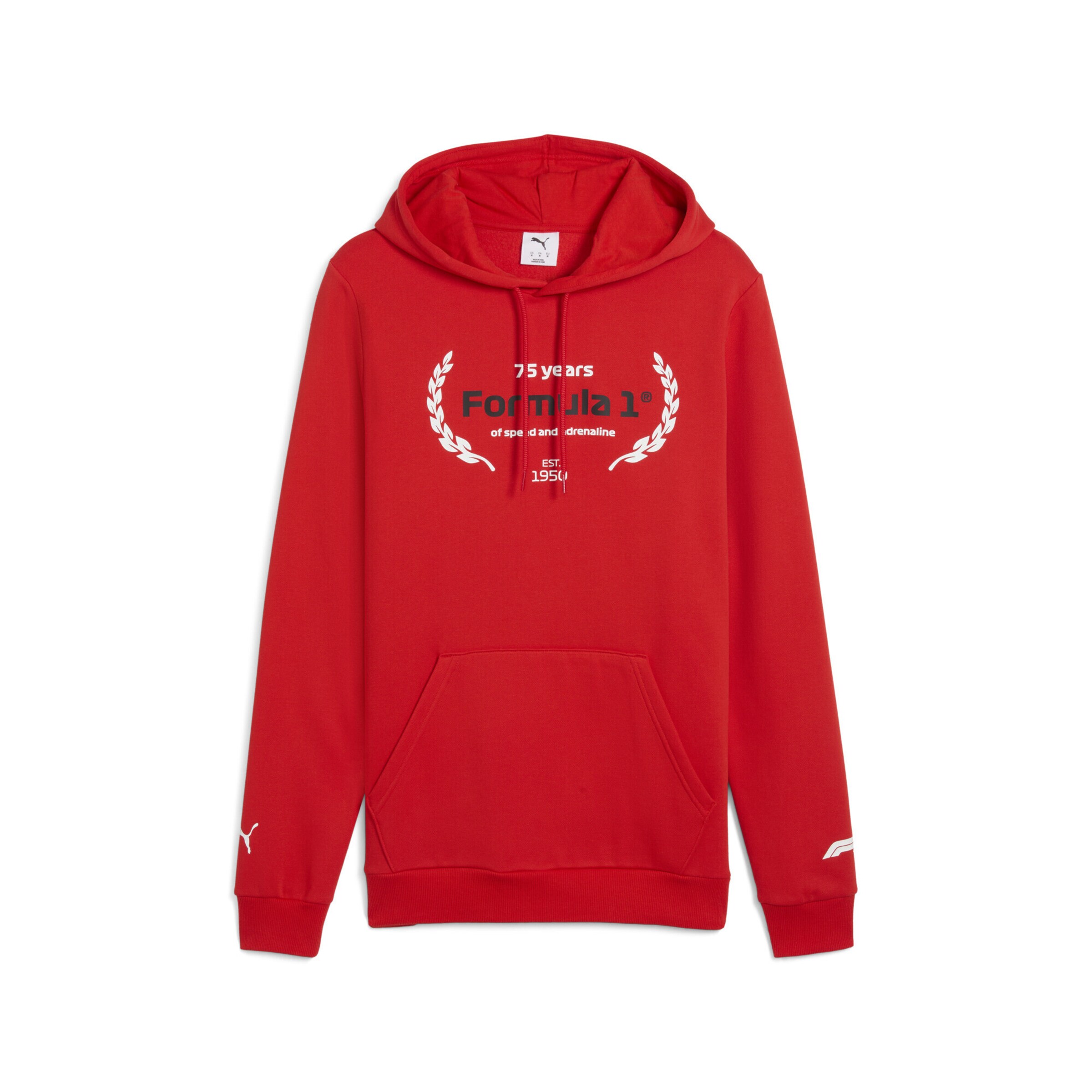 PUMA Sports sweater 'F1® Essentials ' in Red: front