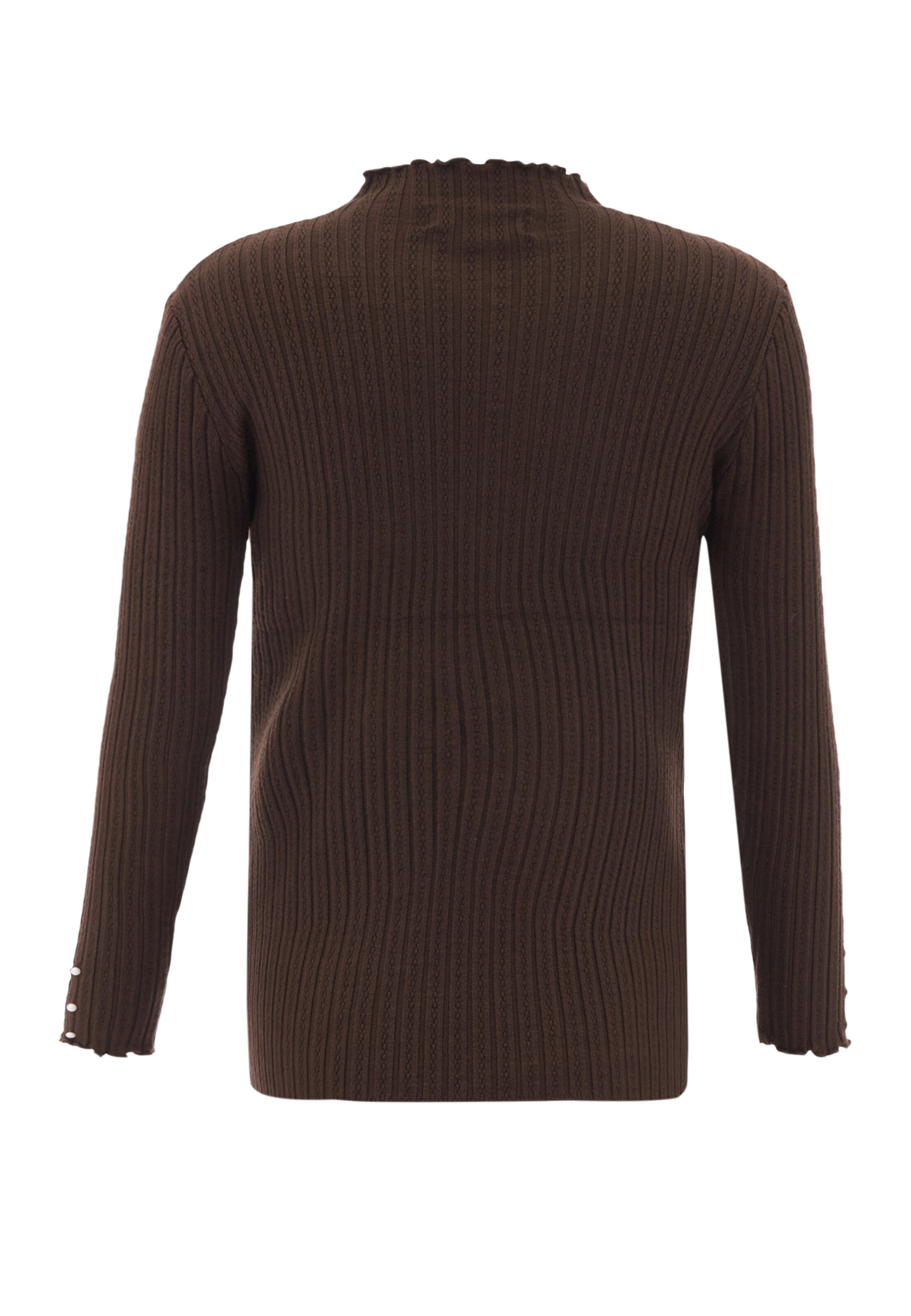 CARNEA - Pullover em castanho