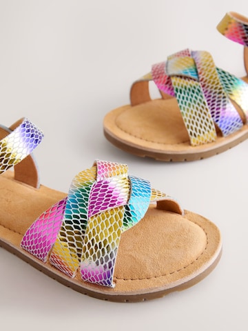 Next Sandalen in Gemengde kleuren