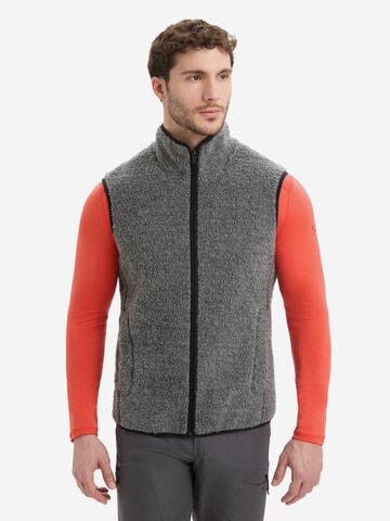 ICEBREAKER Vest 'M RealFleece High Pile Vest' in Grey