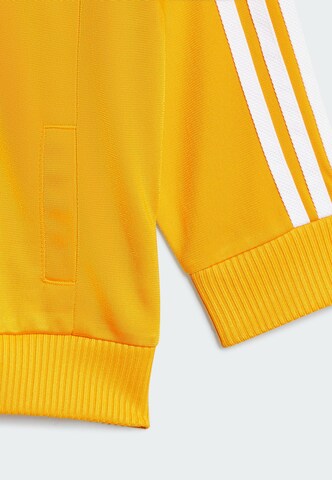 ADIDAS ORIGINALS Jogginganzug 'Adicolor' in Orange