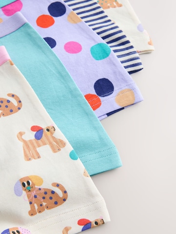 Next Unterhose in Mischfarben