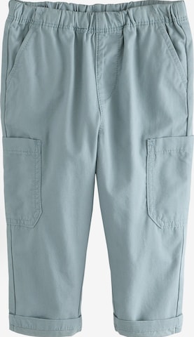 Next Loose fit Pants in Blue: front