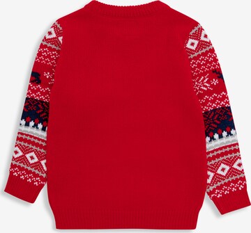 Threadboys Sweater in Red