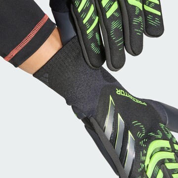 ADIDAS PERFORMANCE Sporthandschoenen 'Predator Pro' in Zwart