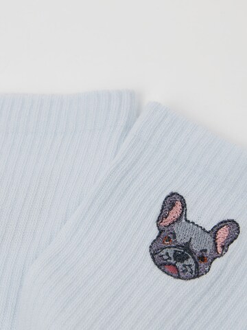 CALZEDONIA Socks 'Dog' in Blue