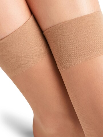 FALKE Socken 'Pure Matt'‌‌‌‌ in Beige