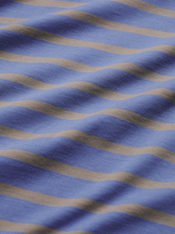 Seasalt Cornwall Shirt 'Sailor' in Blau