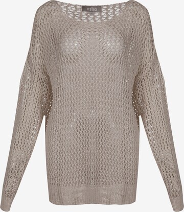 Usha Sweater in Grey: front