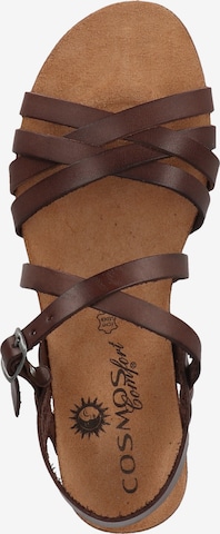 COSMOS COMFORT Sandalen met riem in Bruin