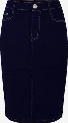 Fraternel Skirt in Blue: front
