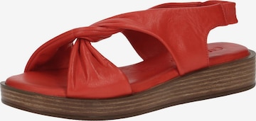 CAPRICE Strap Sandals in Red: front