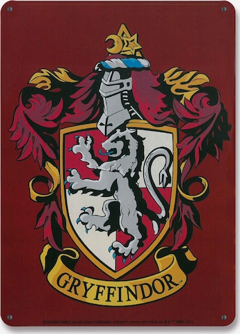 LOGOSHIRT Afbeelding 'Harry Potter - Gryffindor' in Gemengde kleuren: voorkant