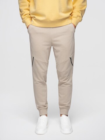Ombre Tapered Pants in Beige
