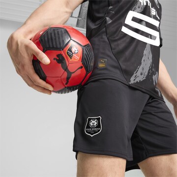 PUMA Regular Sportbroek 'Stade Rennais F.C. 24/25' in Grijs